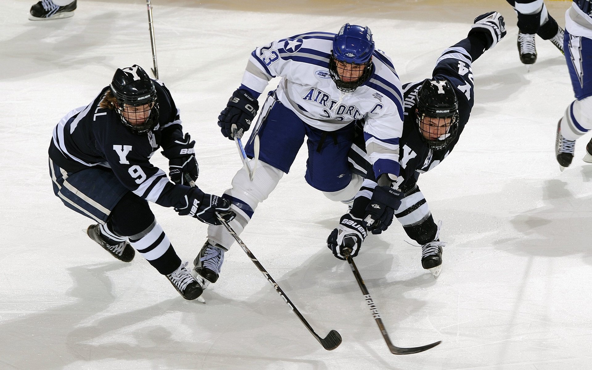 助教雪中送炭解决困局，球队前景一片明朗，送课助教