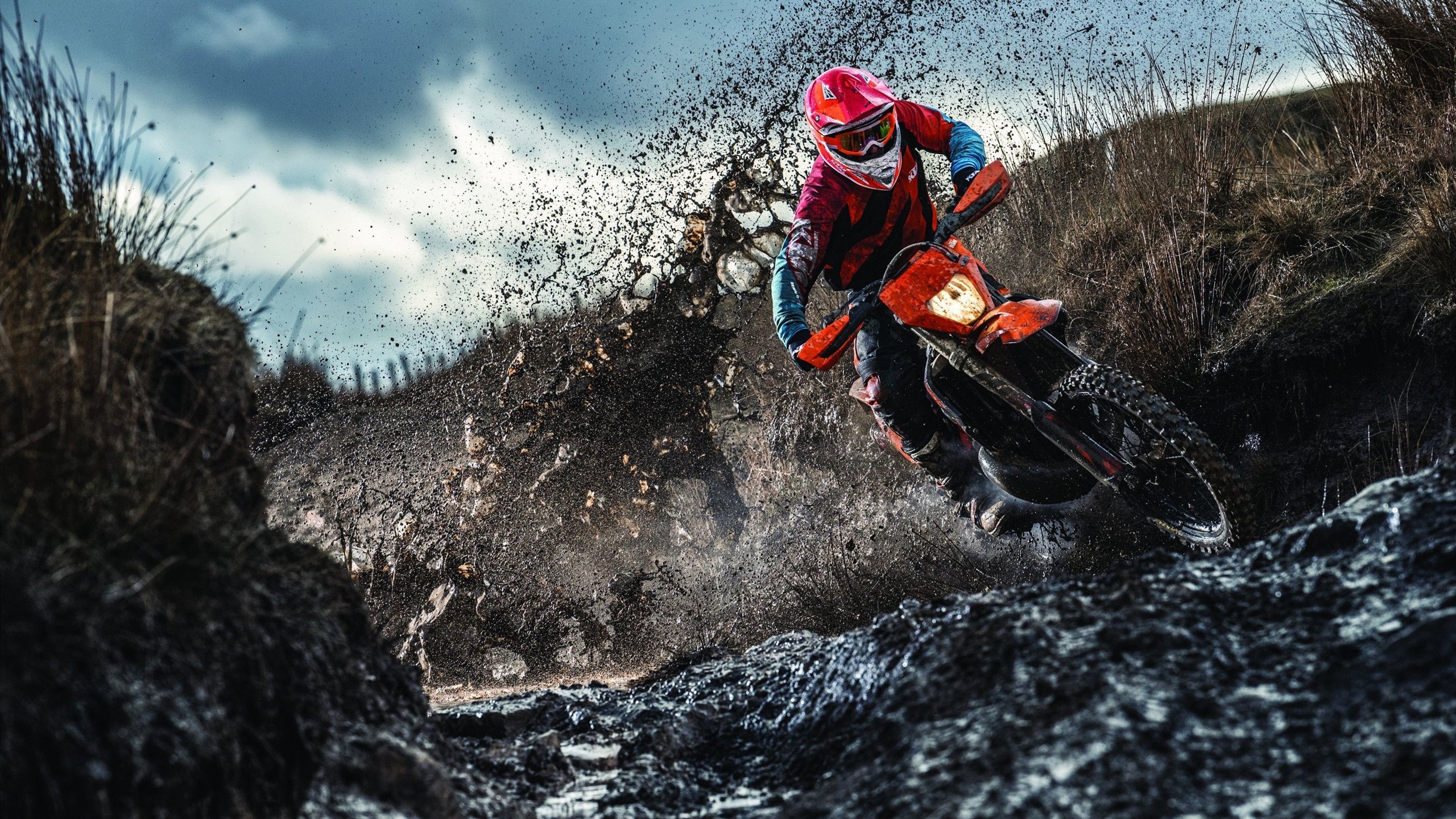 摩洛哥马术协会与非洲马术协会开展技术援助项目，提升当地水平。